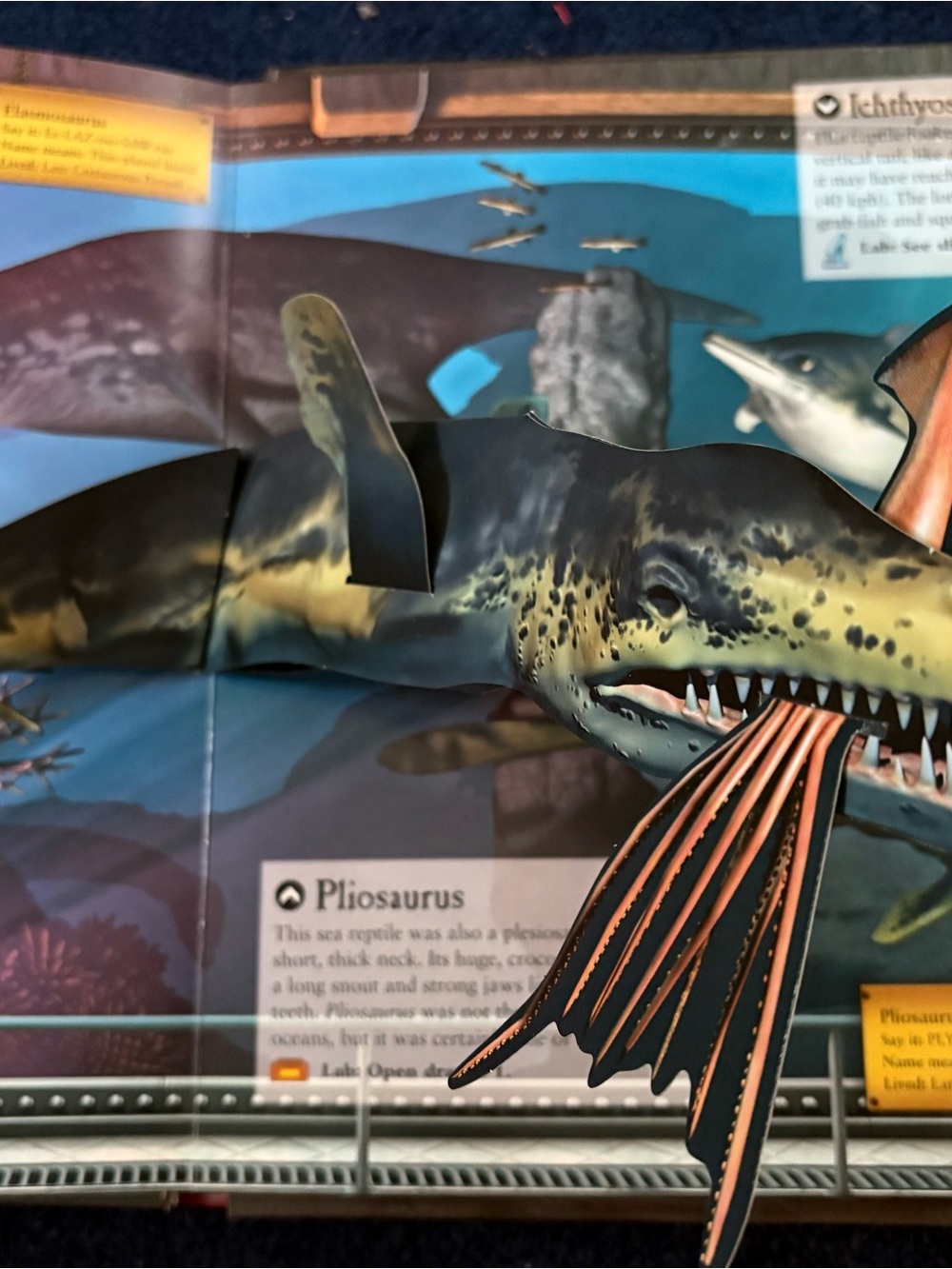 The Dinosaur Museum National Geographic Book - Picture 5 of 5